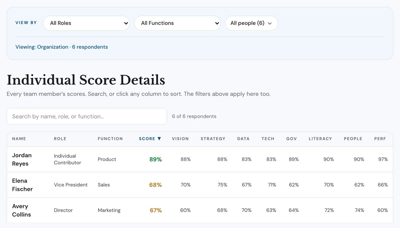 Team Report: filters by role and function above Individual Score Details, a table of each respondent’s role, function, overall score and pillar scores